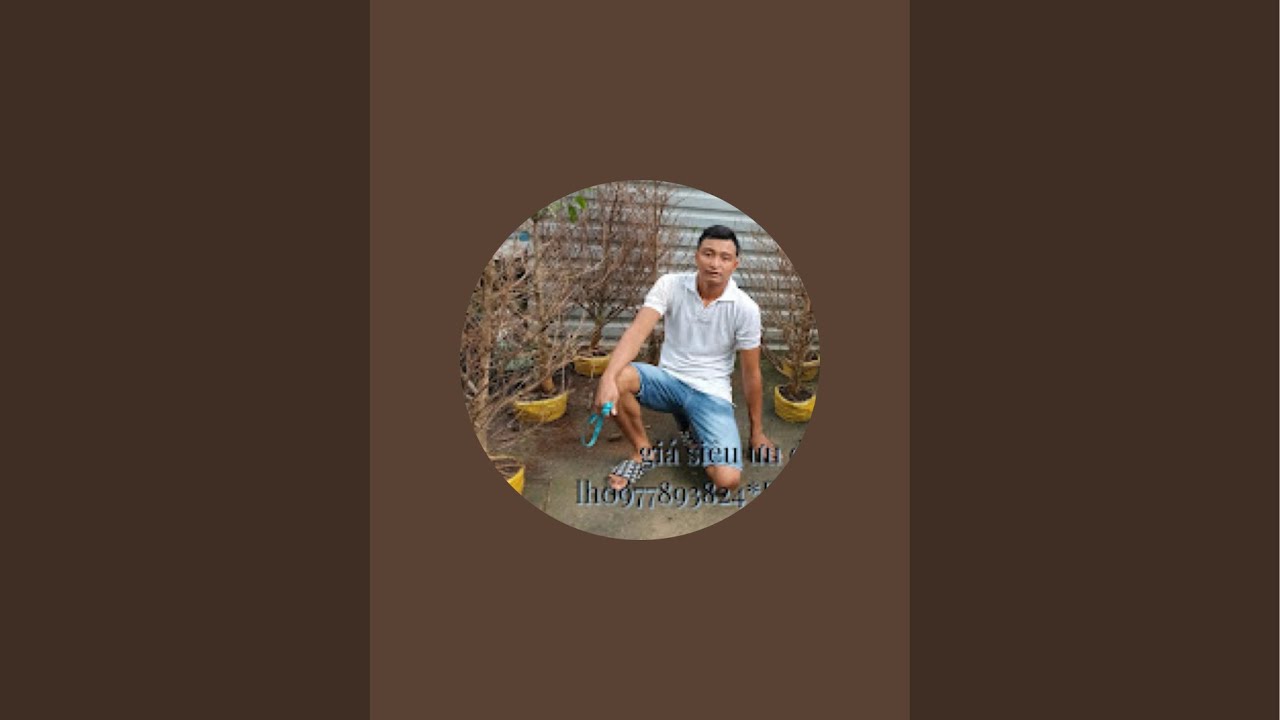 Cường Mai Vàng Miền Tây đang phát trực tiếp!