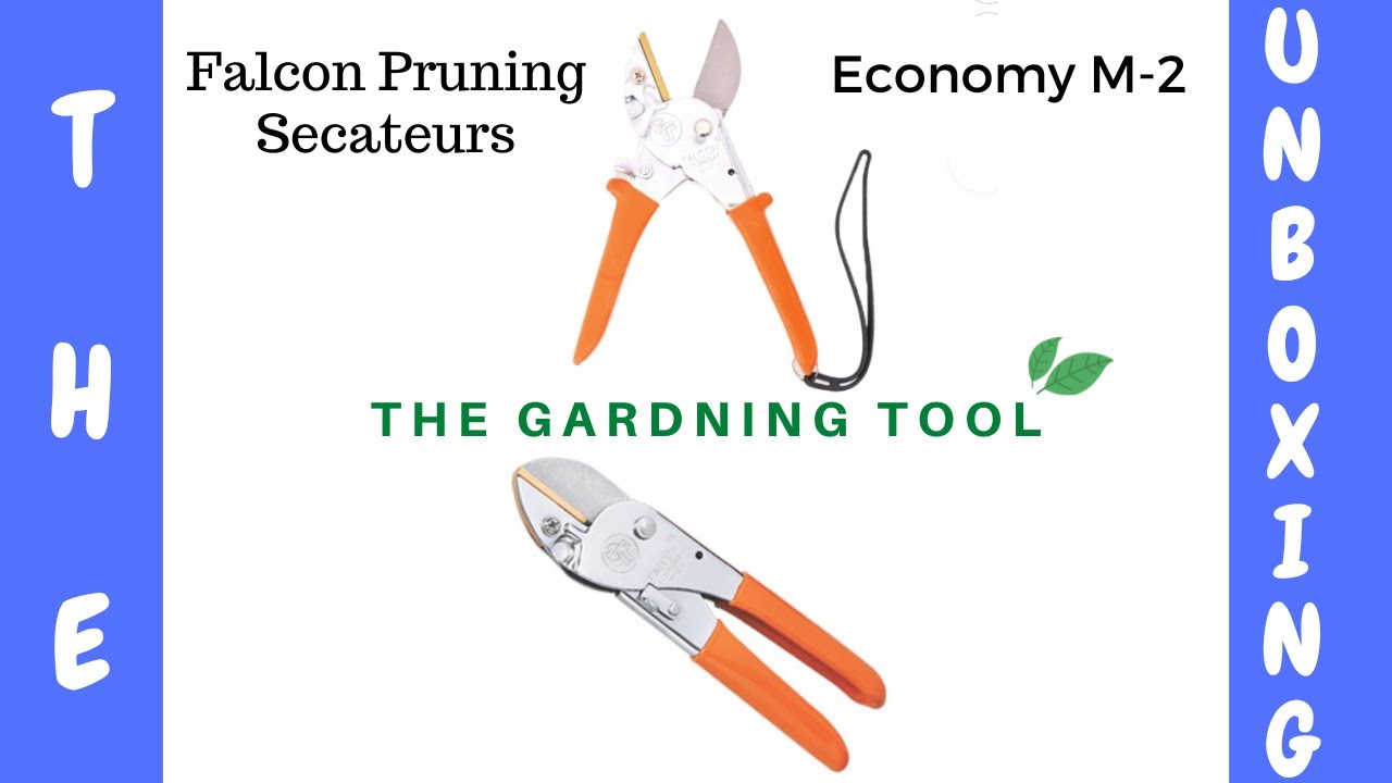Falcon Pruning Secateurs Economy M 2 | Pruning | Secateurs | Falcon | EconomyM2 | Gardening | Tool