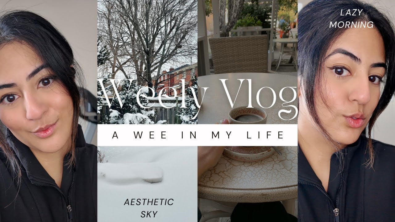 Weekly vlog -  life update, polar vortex, snowstorm in toronto, cooking with my mama, work for home