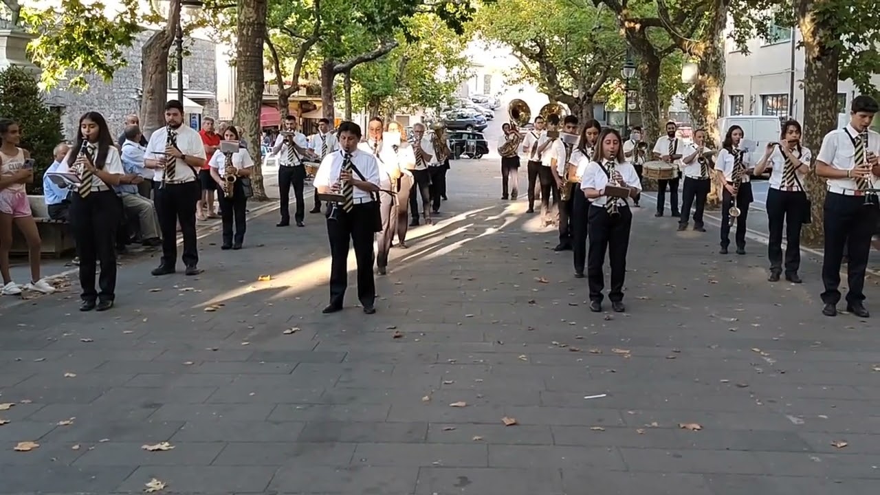 Casellesina - Marcia Sinfonica del Maestro V. Cammarano Banda Musicale G. Verdi Caselle in Pittari