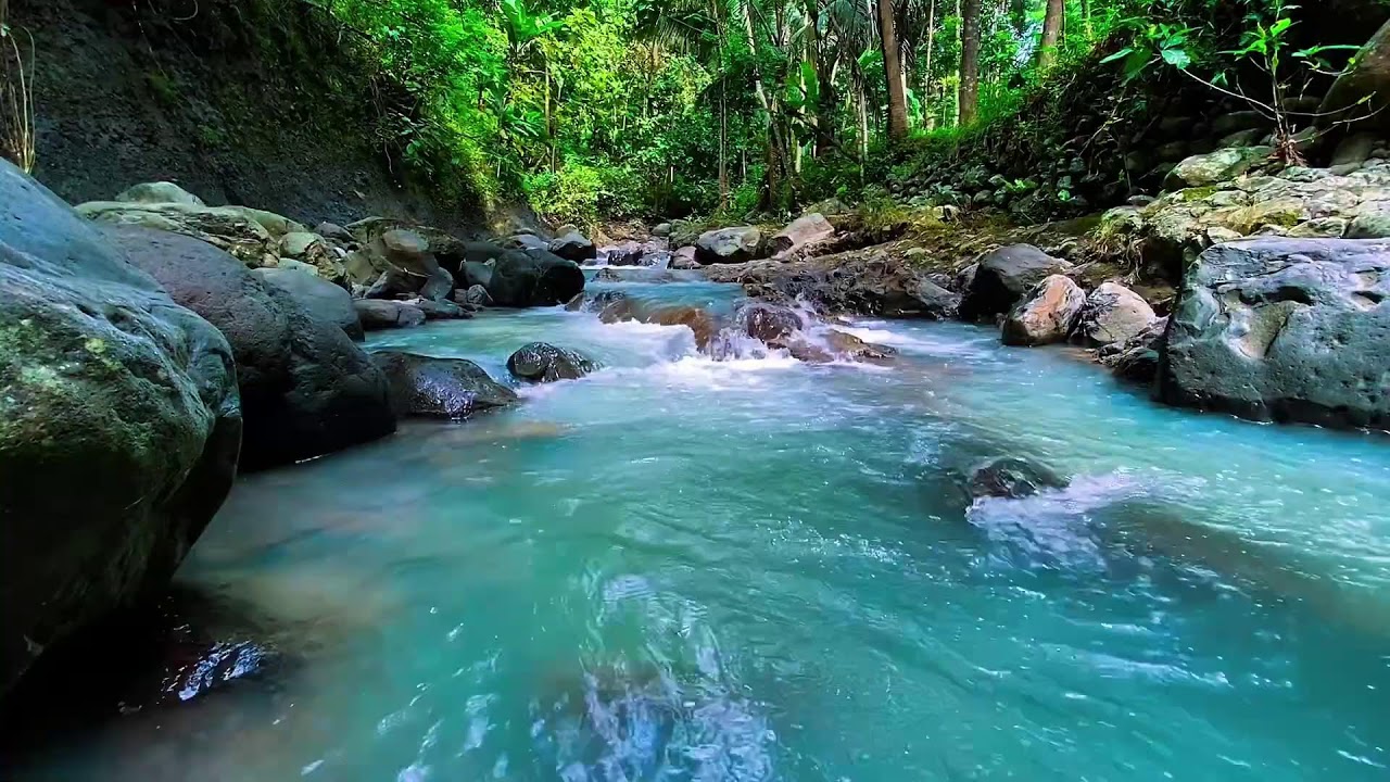 Natural Forest River Flow Sounds, Mountain Stream, Sleep