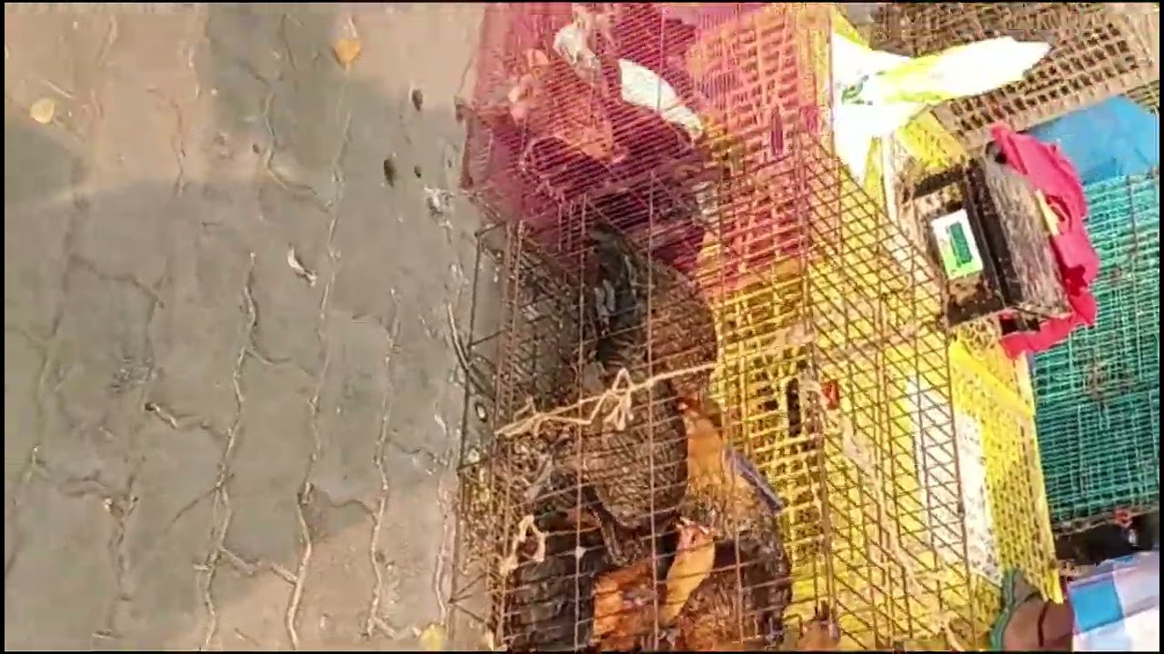 Pallavaram market 