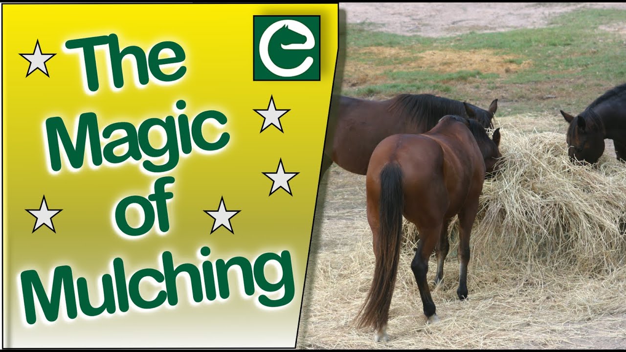 Horses and the Magic of Mulching - A VERY SIMPLE WAY TO IMPROVE YOUR LAND