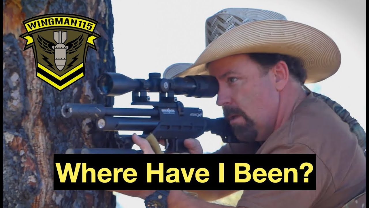 Where Have I Been?  -  Wingman115 Channel Update