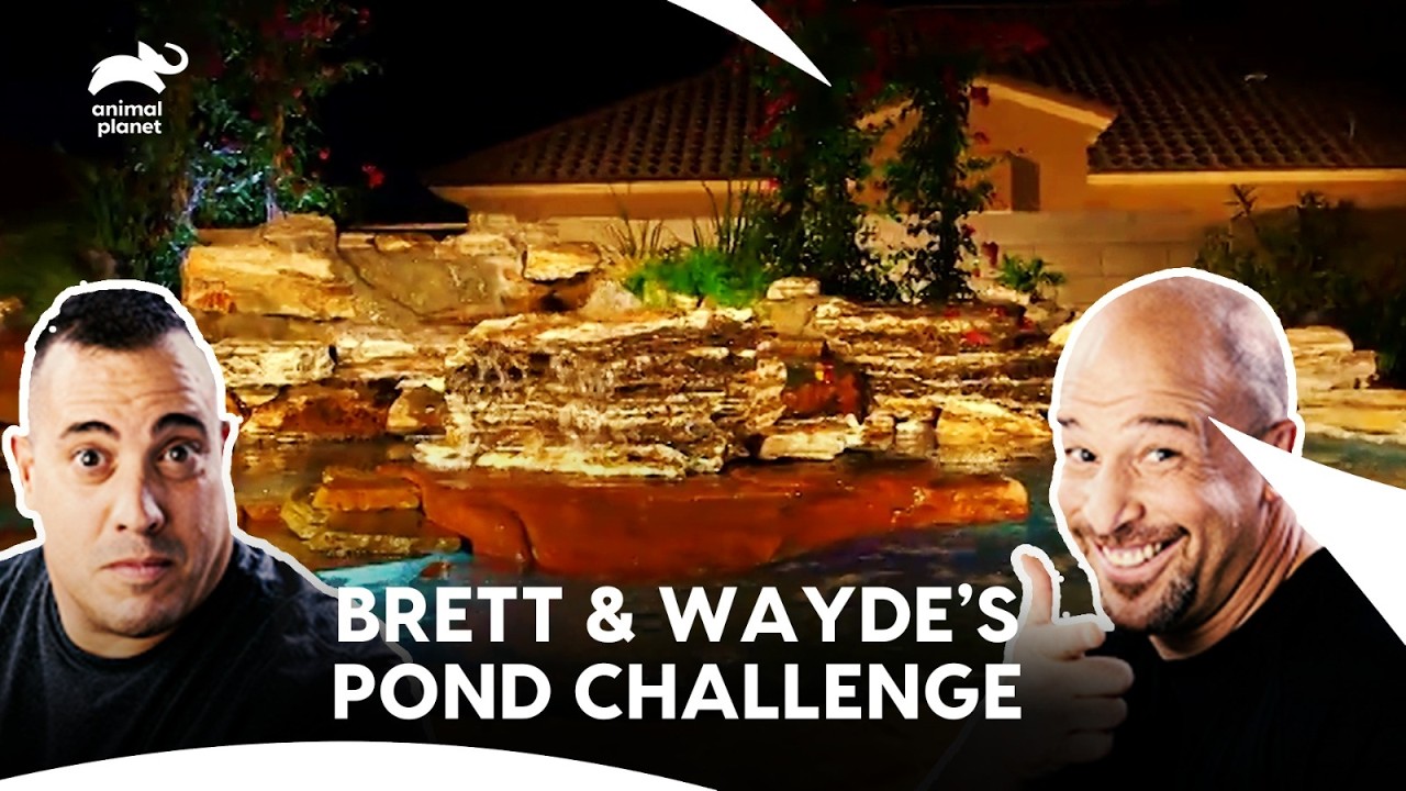 Aquatic Rivalry: Brett and Wayde’s Pond Face-Off | Tanked | Animal Planet