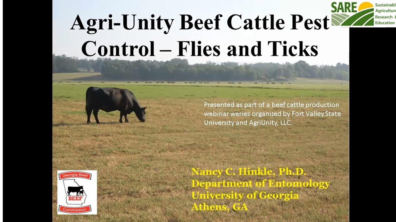 Cattle External Parasite Control