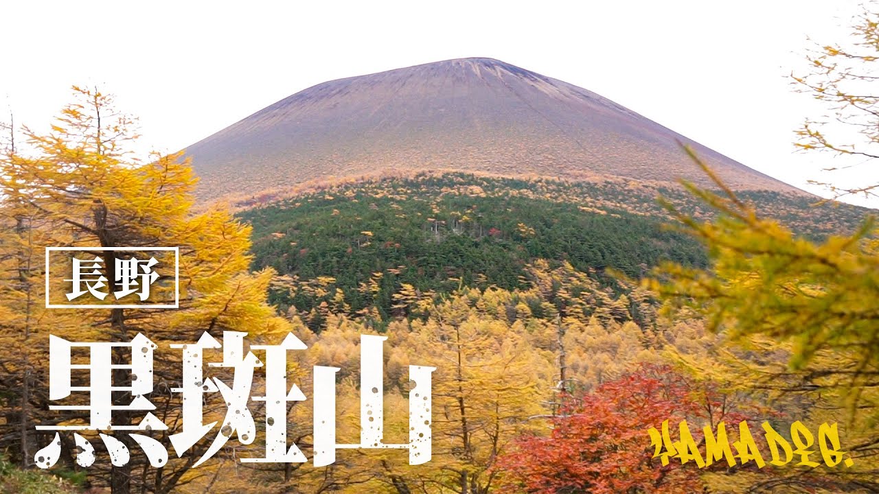 【登山】浅間山の紅葉を拝みに黒斑山へ日帰り登山！浅間ゴールドがヤバすぎた...【浅間山】#紅葉 #登山 #黒斑山