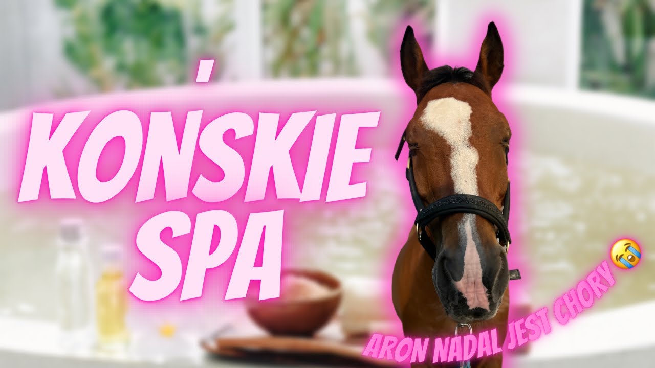 NAJGORSZE KOŃSKIE SPA JAKIE WIDZIELIŚCIE 😂