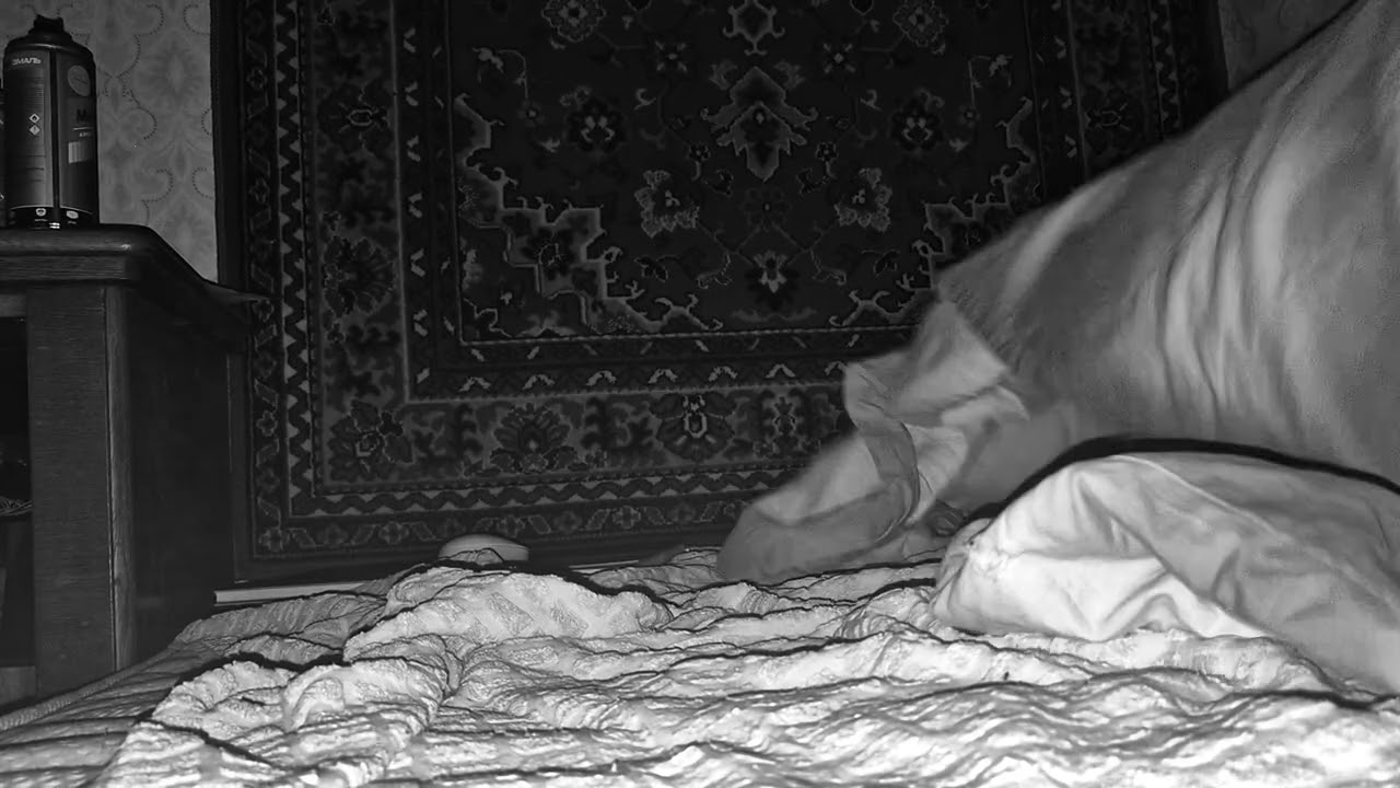 Workplaces - in bed, Moscow, Jan 11