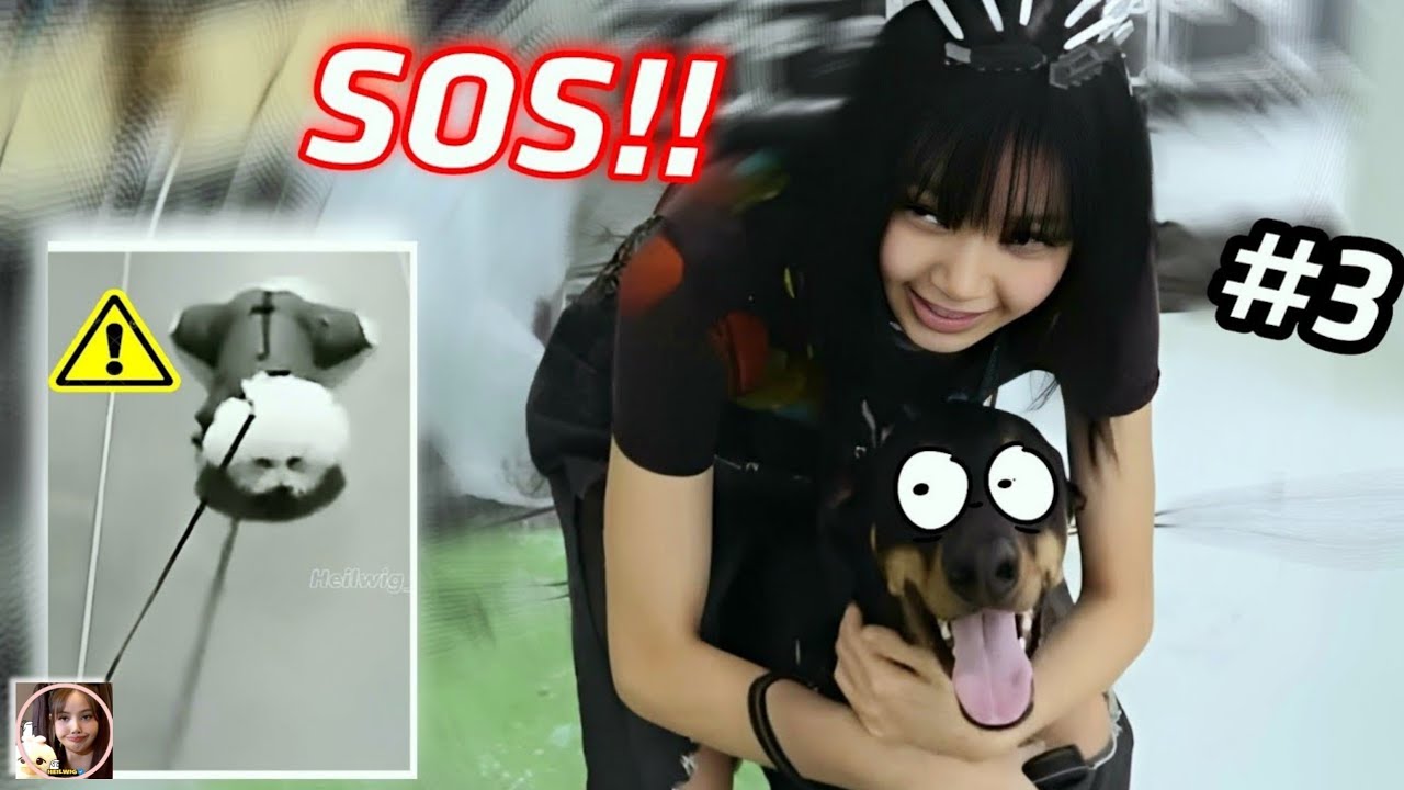 [ #3 ] || Blackpink funny moments! || Hậu trường concert Born Pink của Hắc Hường có gì vui!  - MẬN