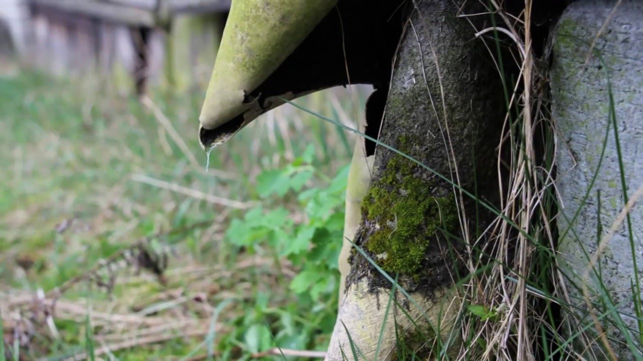 Sigma 24 F1.4 Canon EOS 600d