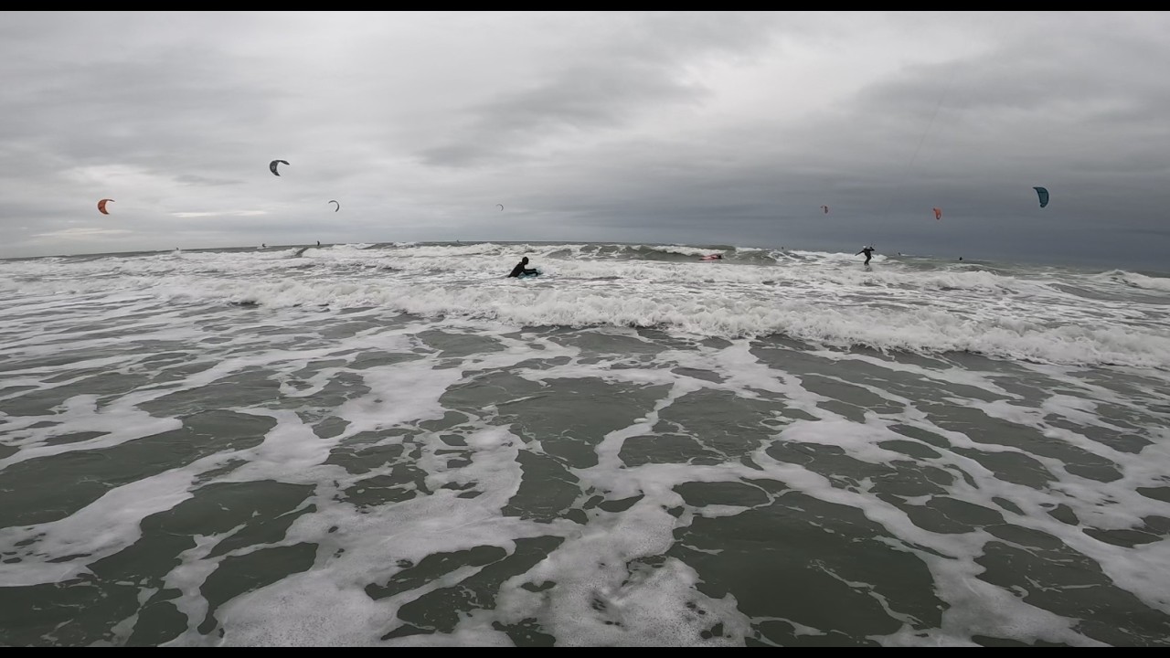 des kites, des vagues, un phoque... mais pas de vent.