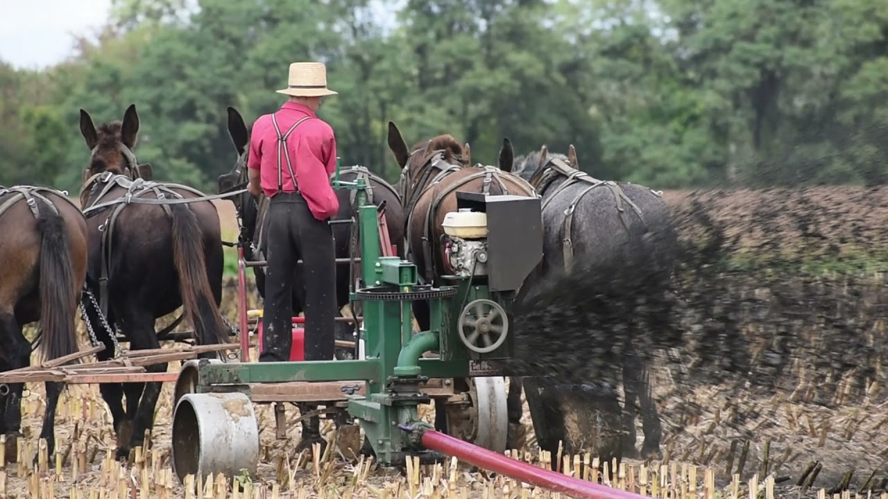 Amish Dragline