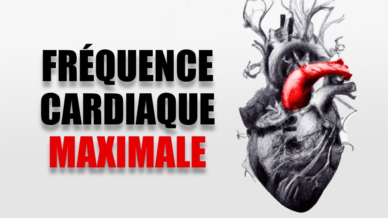 Comment Augmenter sa Fréquence Cardiaque Maximale (Calcul, Mesure, Zones, etc...)?