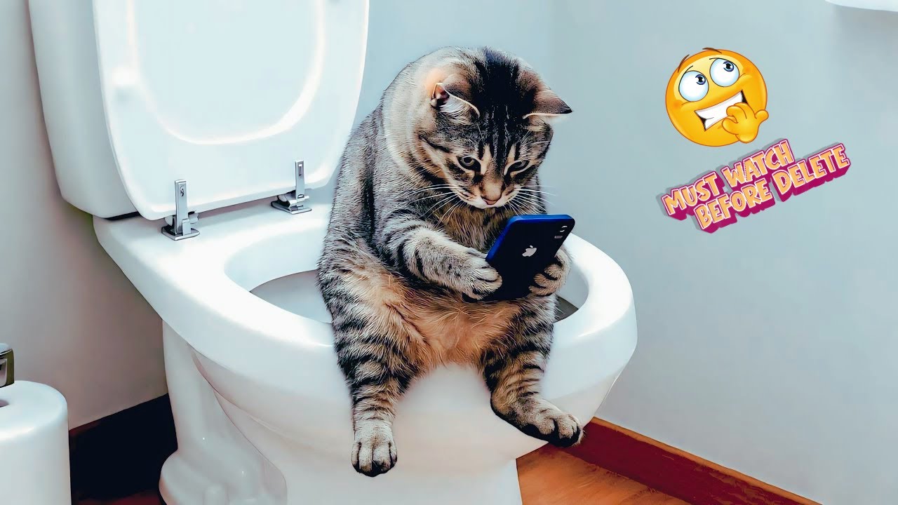 Must Watch Before Deleted 😂🔥 Funniest Pets of the Year | Non-Stop Laughs