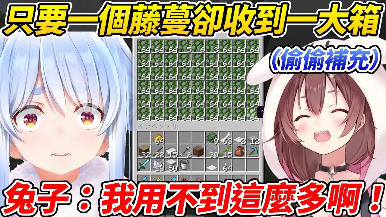 族長收到一大箱藤蔓不好意思不用但沁音還在背地裡偷偷補充ww【兔田佩可拉／戌神沁音】【ホロライブ切り抜き】【HOLOLIVE中文】