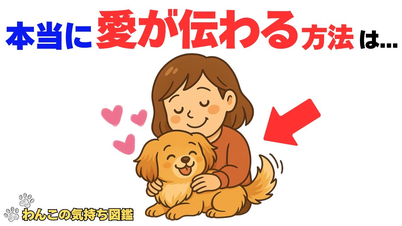 【全部届いてるよ】犬が本当に喜ぶ「愛の伝え方」7選｜わんこの本音