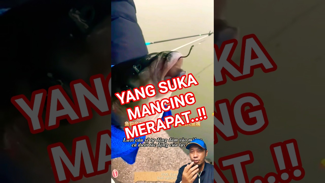 Kail pancing anti mocel harga terjangkau