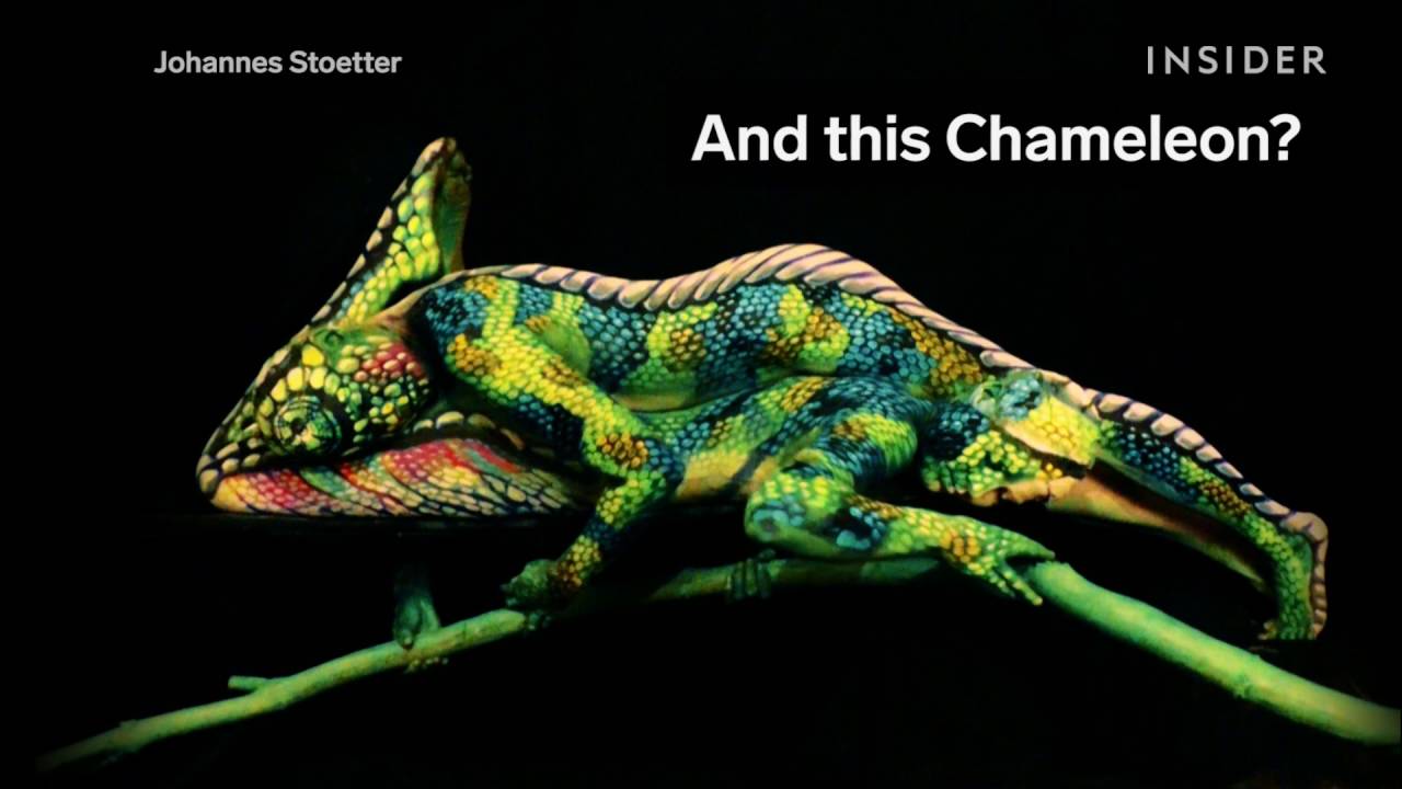 These amazing animals are really people covered in body paint