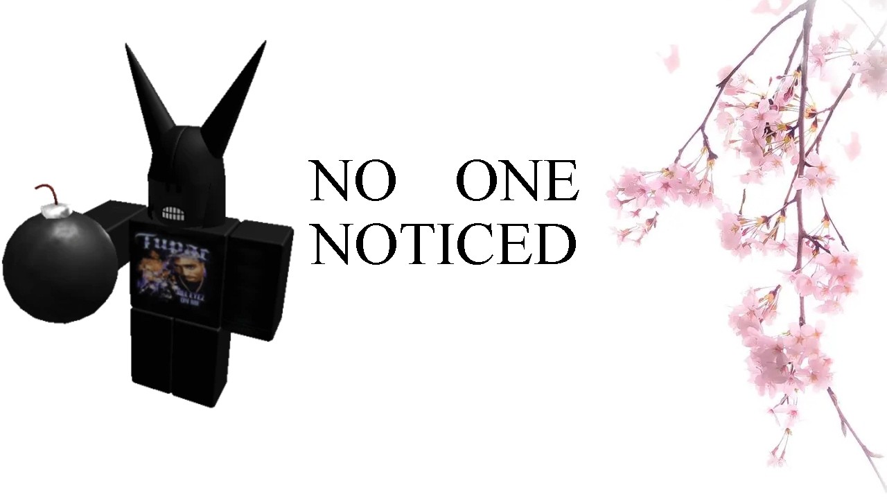 No 0NE Noticed