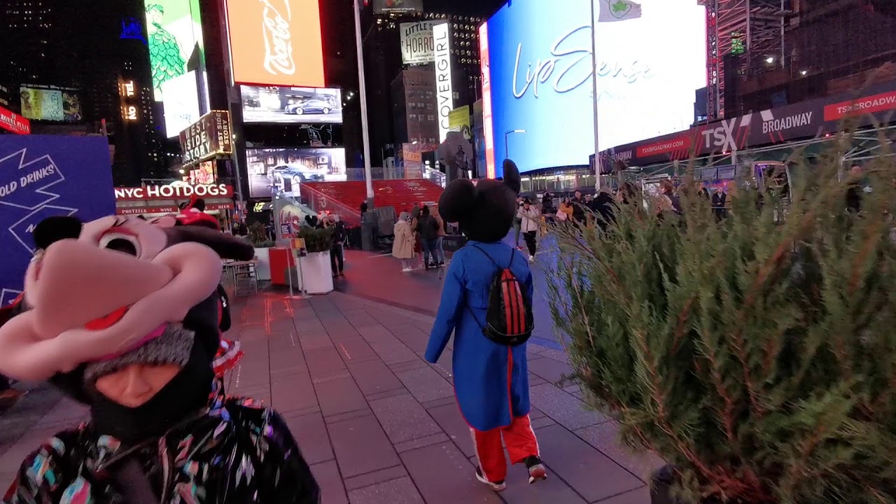 New York(4)