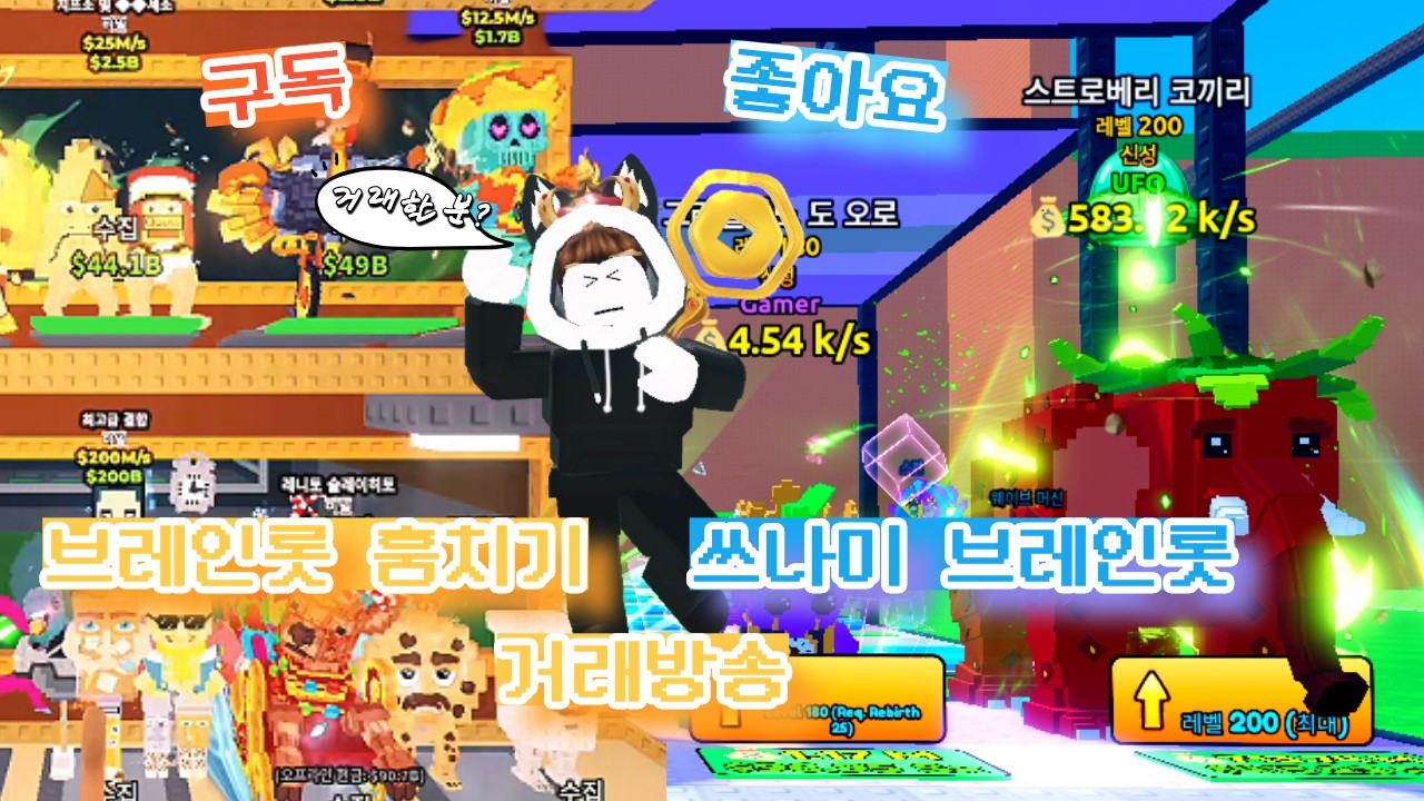 브훔 쓰나미 거래방송