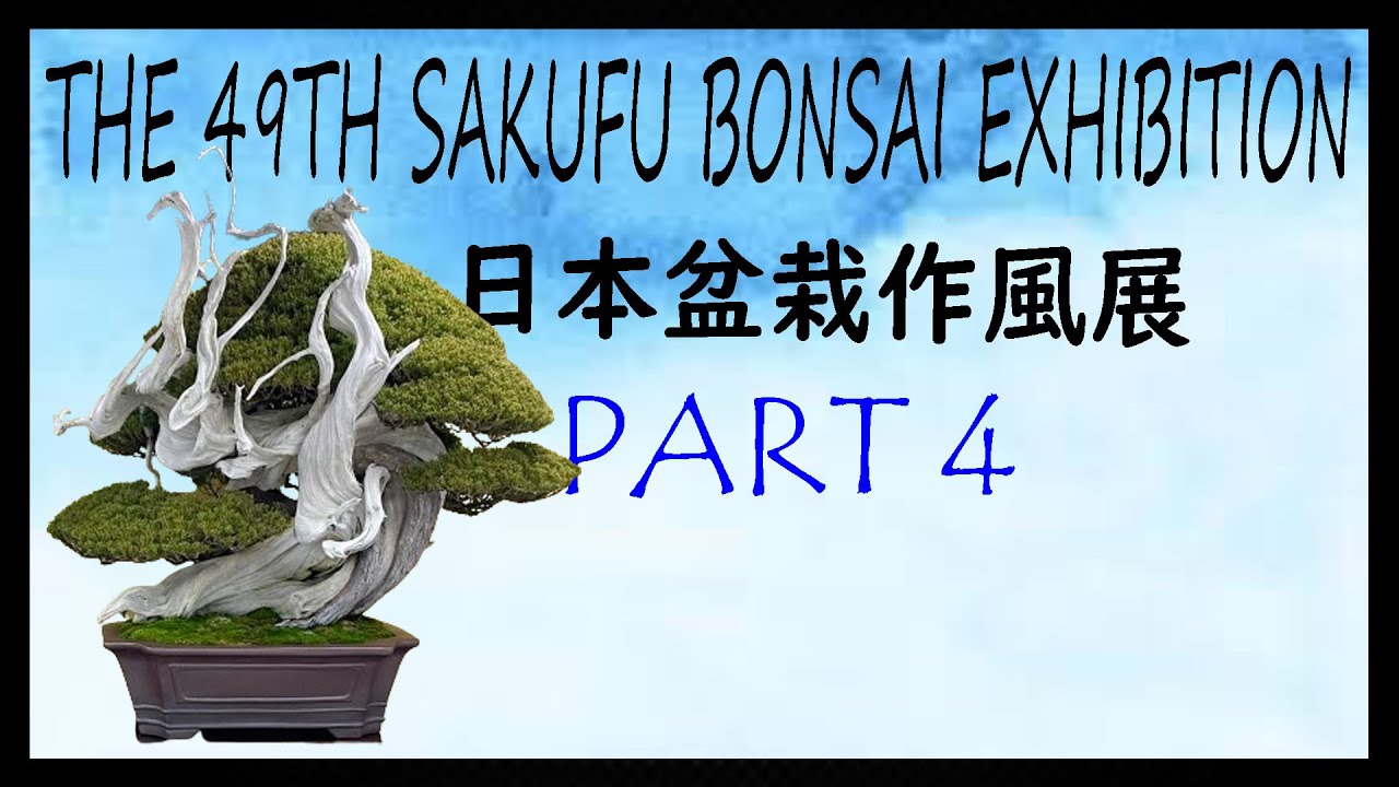 49Th Sakufu Bonsai Exhibition - 2023 December - Part 4