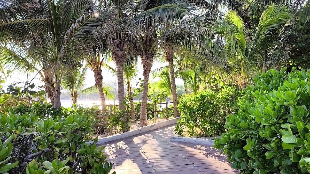 Playa Punta Esmeralda | The Beach for the Locals
