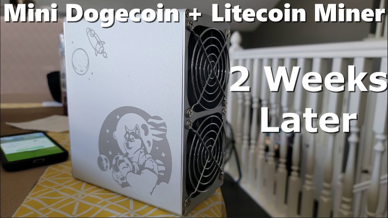 Mini Dogecoin + Litecoin Miner | 2 Week Review & Profits - Add Additional Units