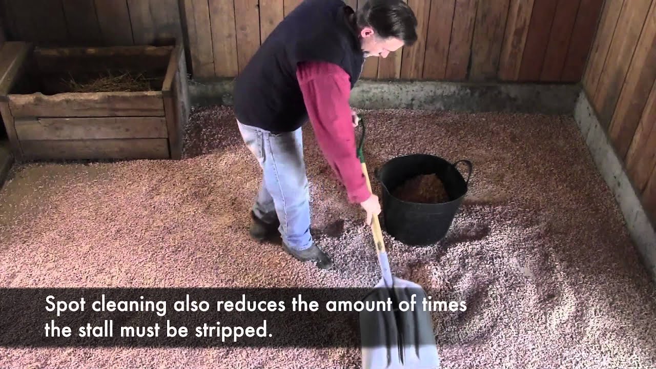 EZ Equine 100% All-Natural Pine Animal Bedding
