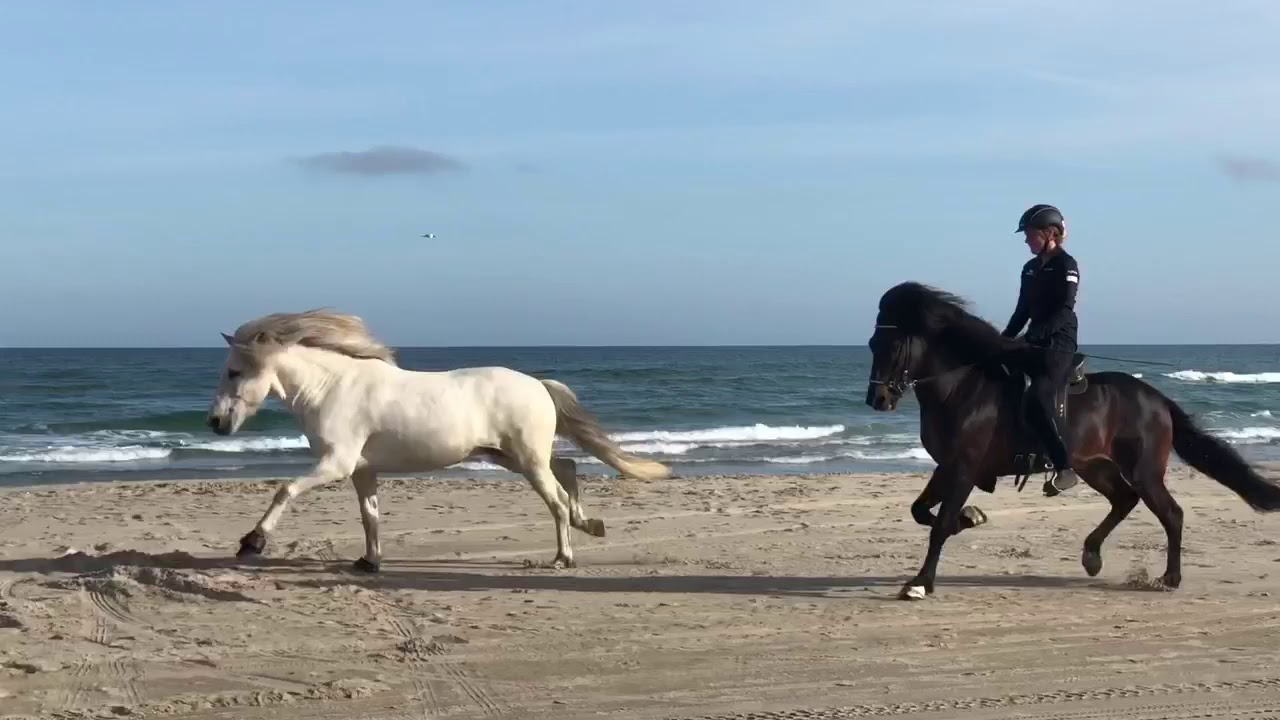Skiveren Strand Juli 2019