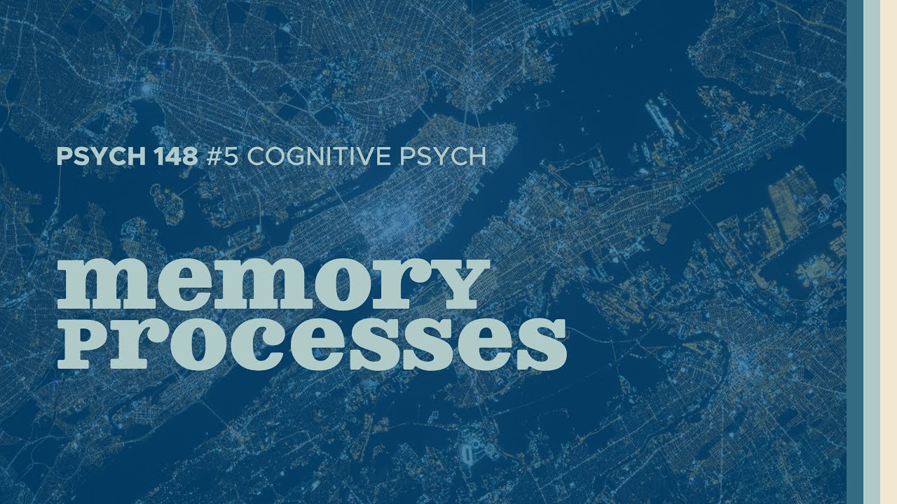 Remember Me This Way | Memory Processes (Cognitive Psych #5)