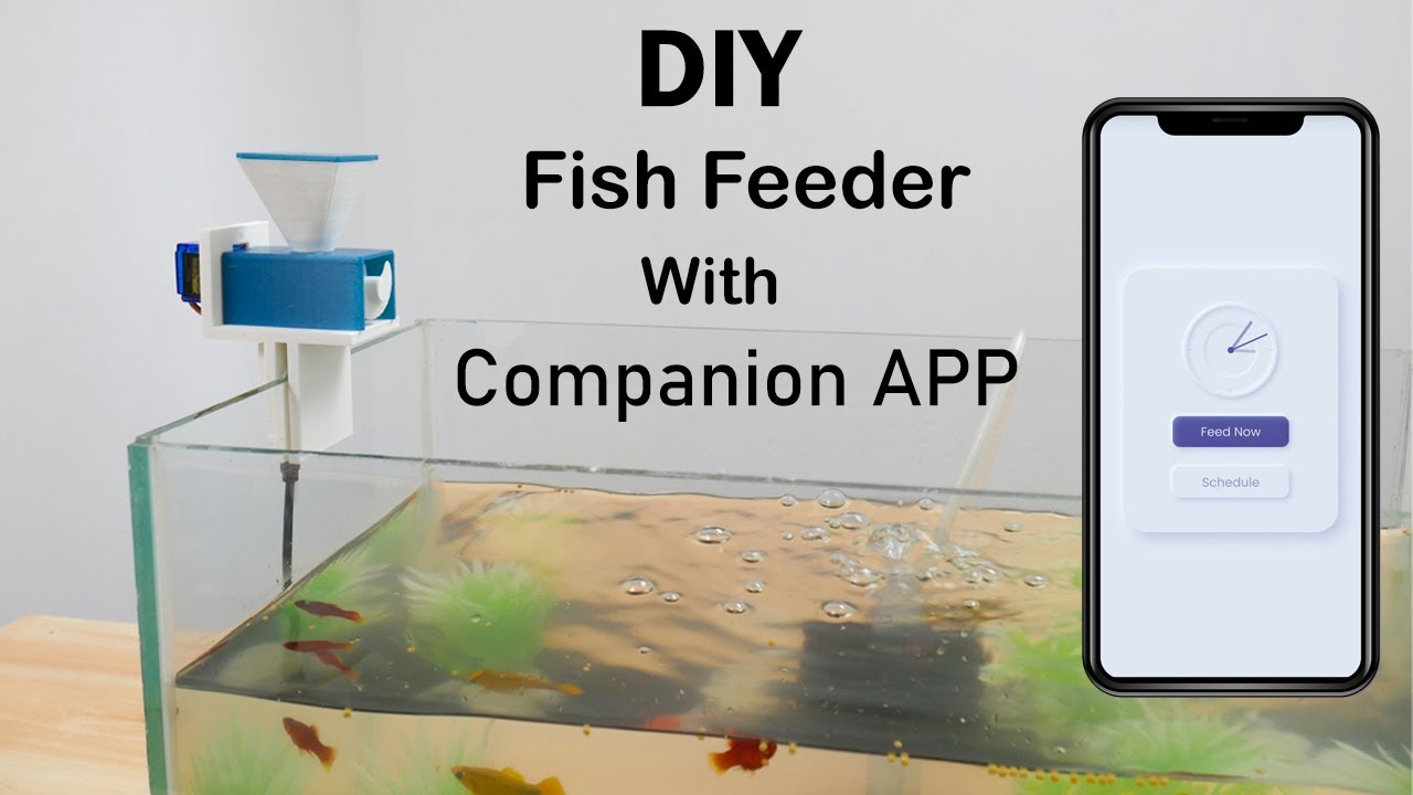 Aquassist | DIY Automatic Fish Feeder with Companion App | Wemos D1 Mini | Arduino IDE | Coders Cafe