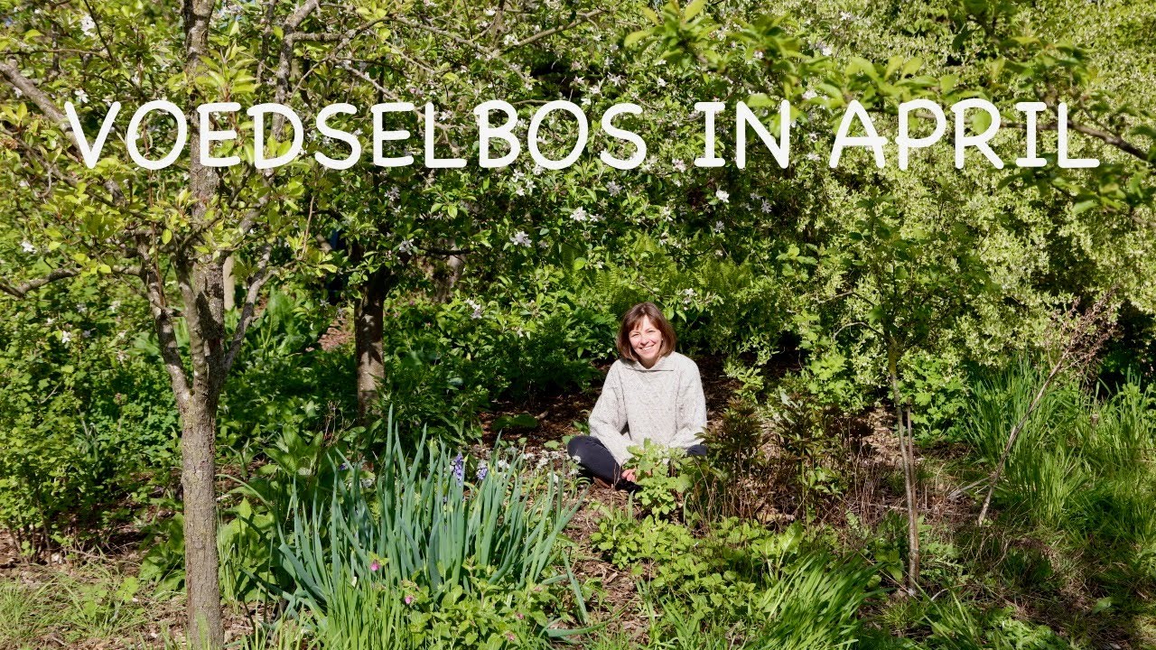 Voedselbos in april