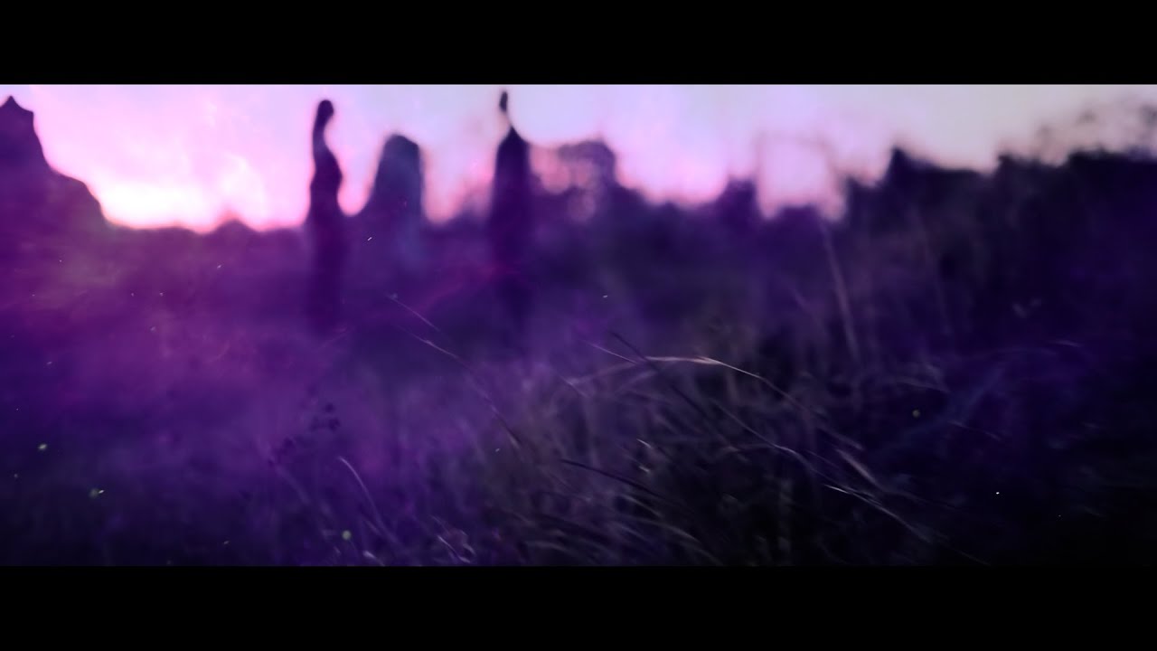 The Genotype - We Are The Void