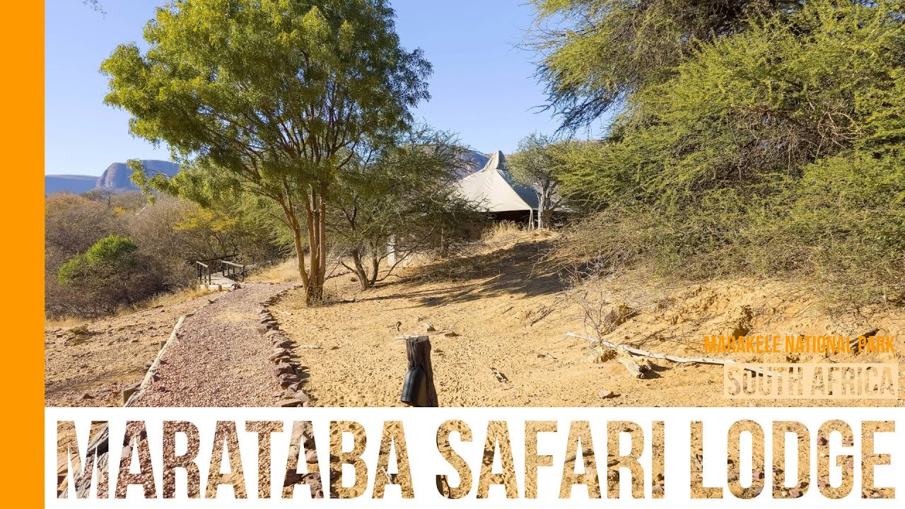 Marataba Safari Lodge - 4K - Marakele National Park - South Africa