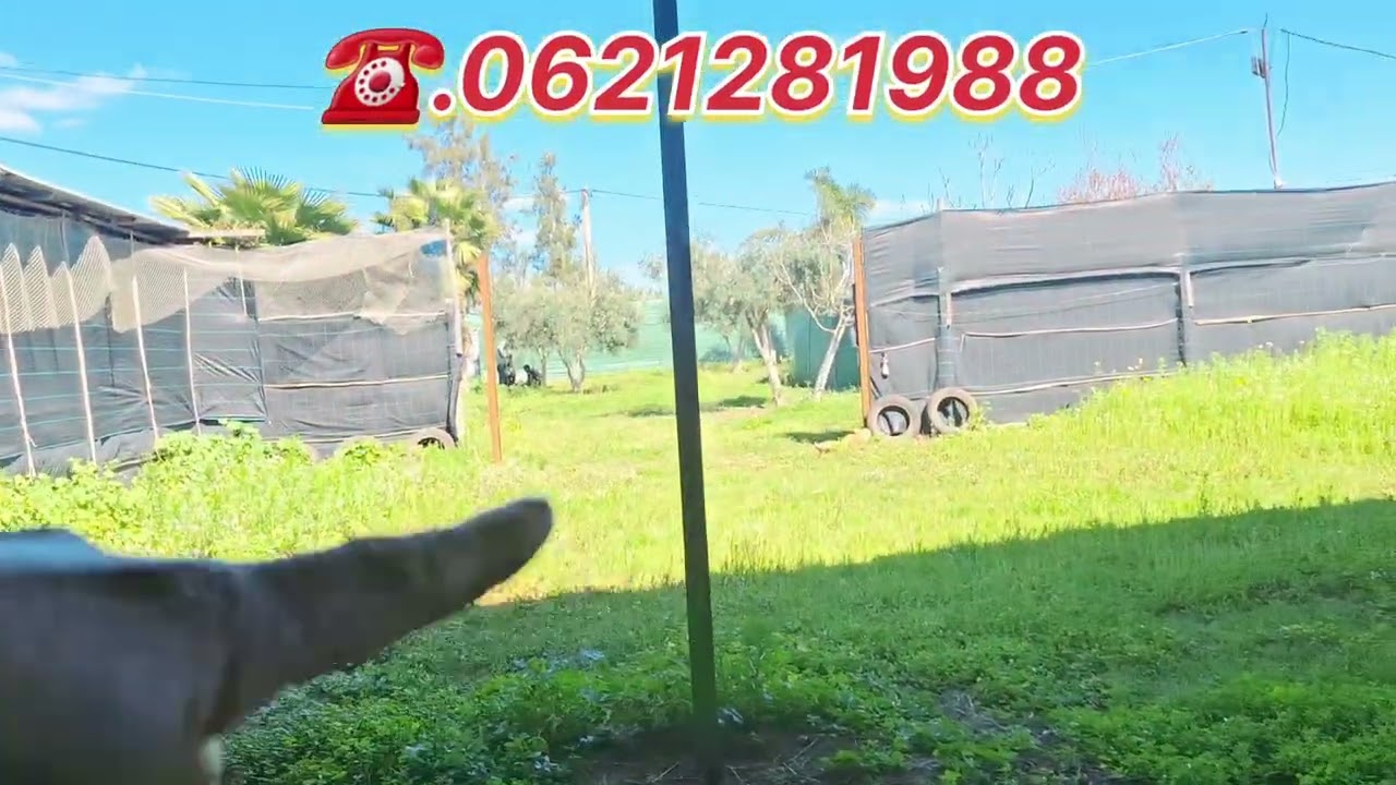 أرض فيها هنكار للكراء حدا الرباط☎️0621281988