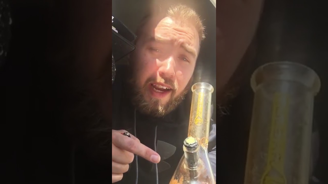 Hash burger strain review (Han solo)
