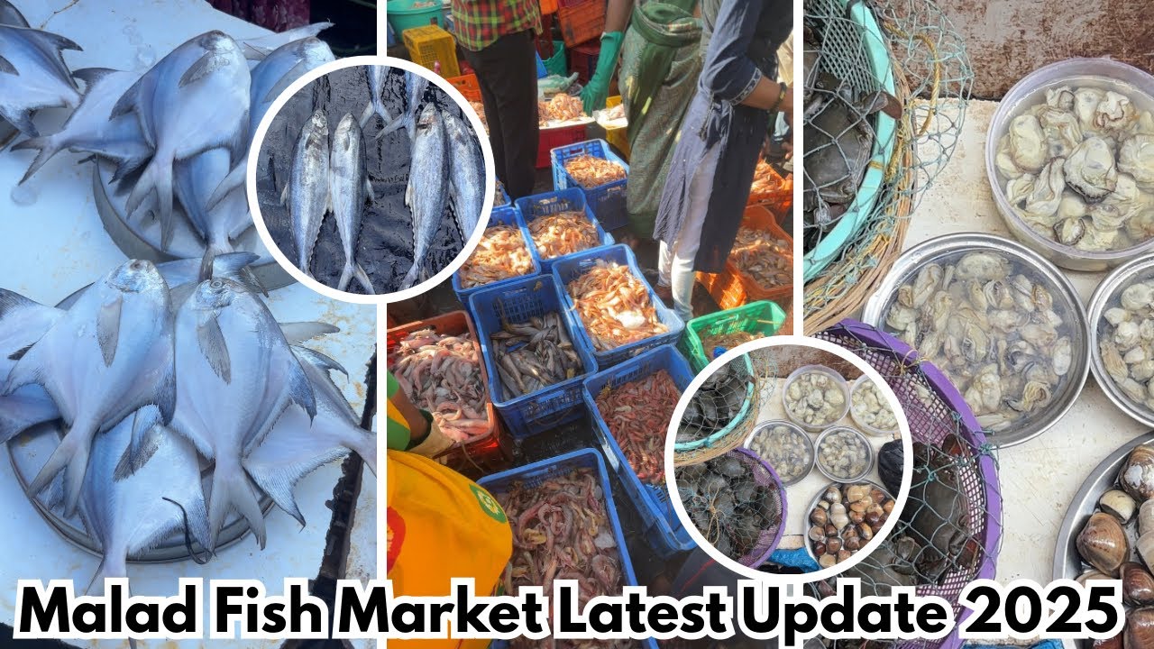 Malad Fish Market Latest Update 2025 | Fresh Seafood Prices Mumbai Fish Market | Malad Macchi market