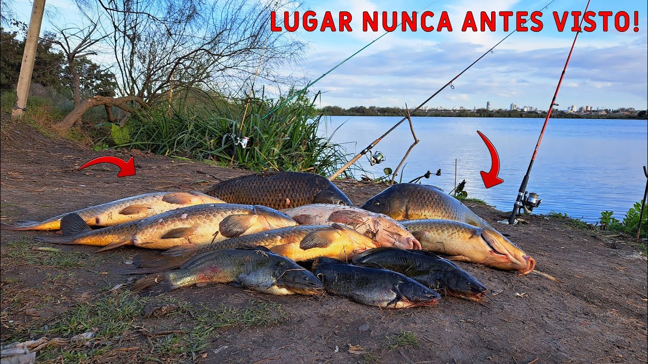 ESTAS BESTIAS ESTAN AL COSTADO DE LA AUTOPISTA/ NO PODIAMOS CREER COMO PELEABAN!