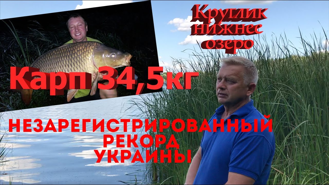 Карп 34,5 кг.  Рекордный карп Украины?  Обзор водоема Круглик-нижнее озеро.
