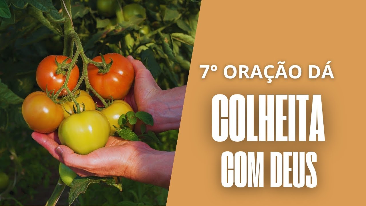 7°ORAÇÃO DA COLHEITA COM DEUS quem semeia no espírito colhe 