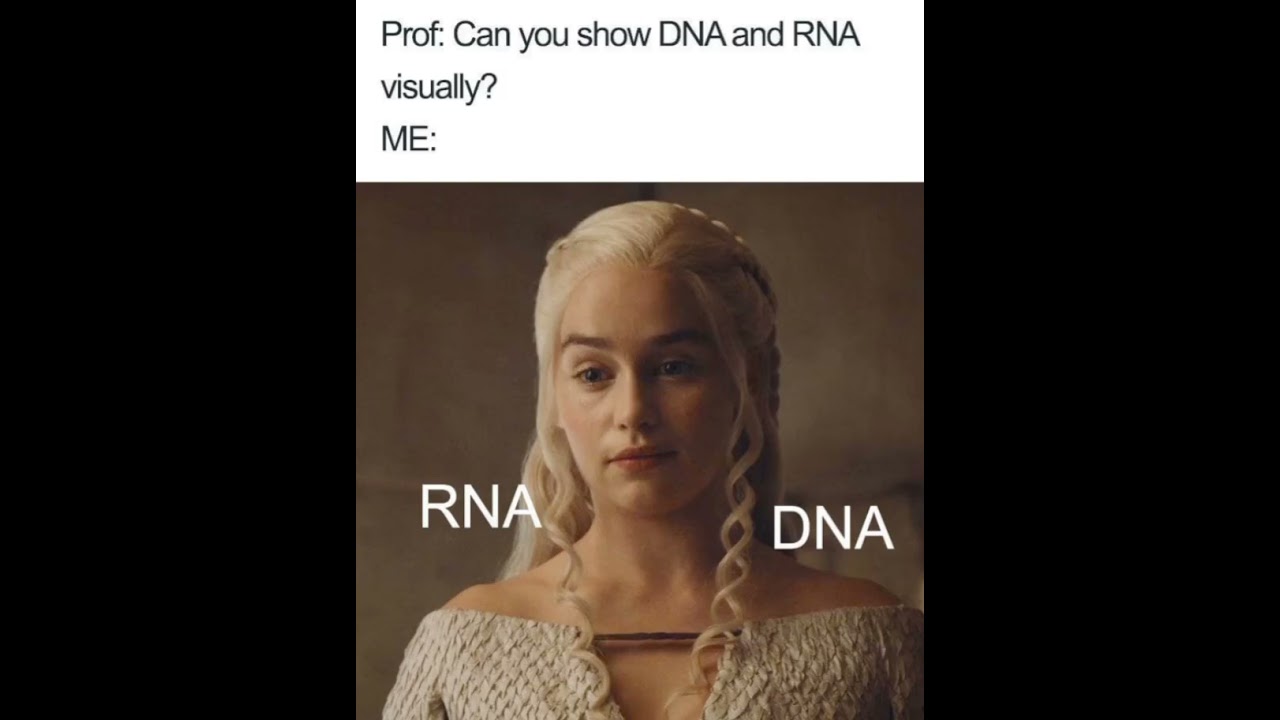 DNA and RNA
