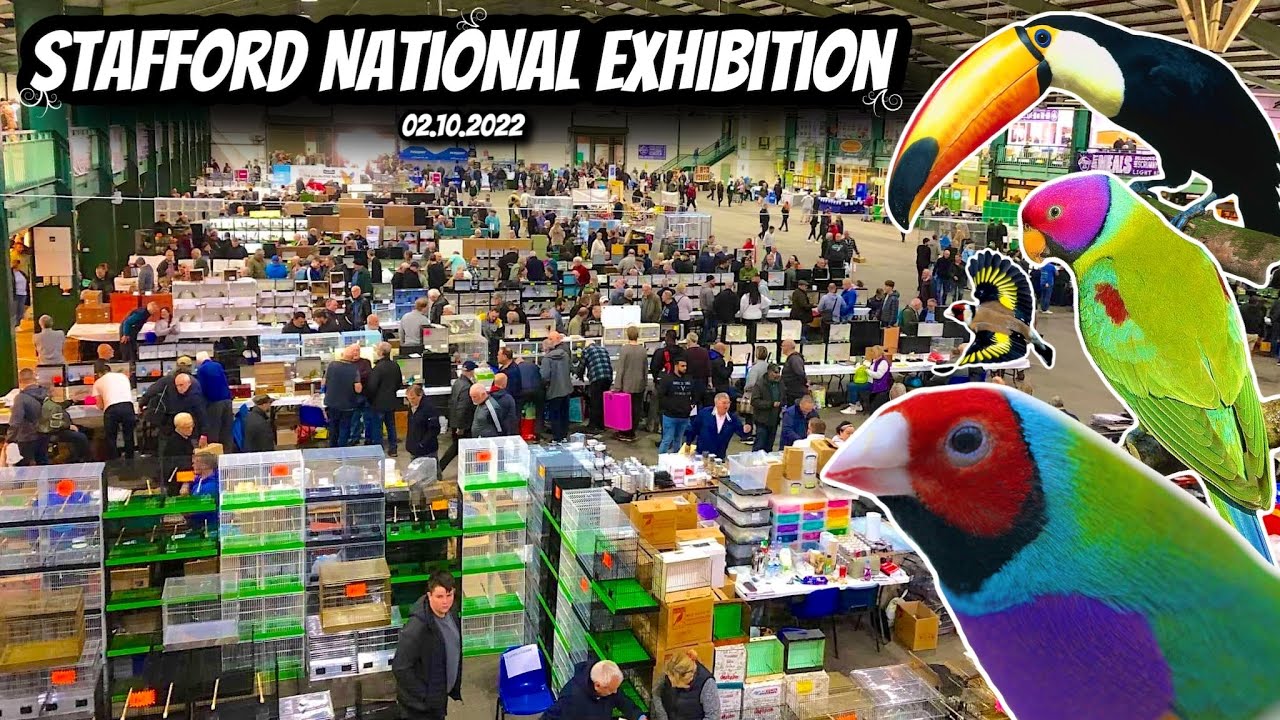 Stafford National Exhibition 2022 - BIRD SALE