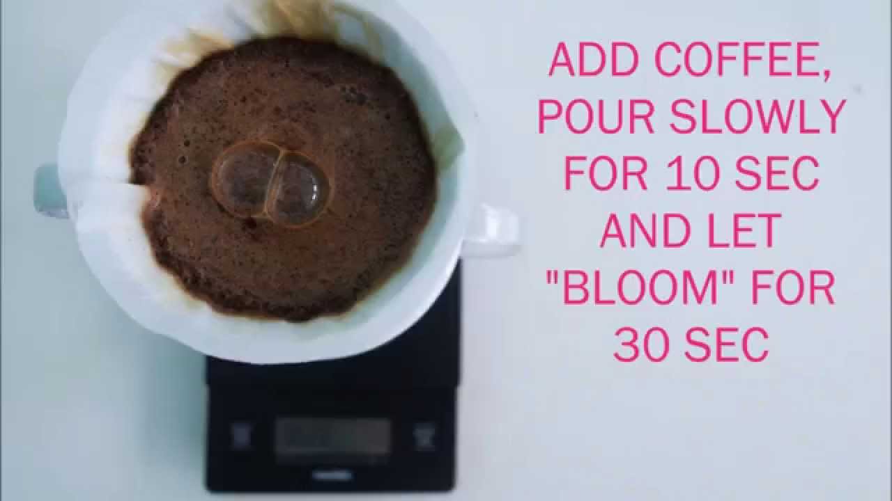 V60 BREWING DEMO