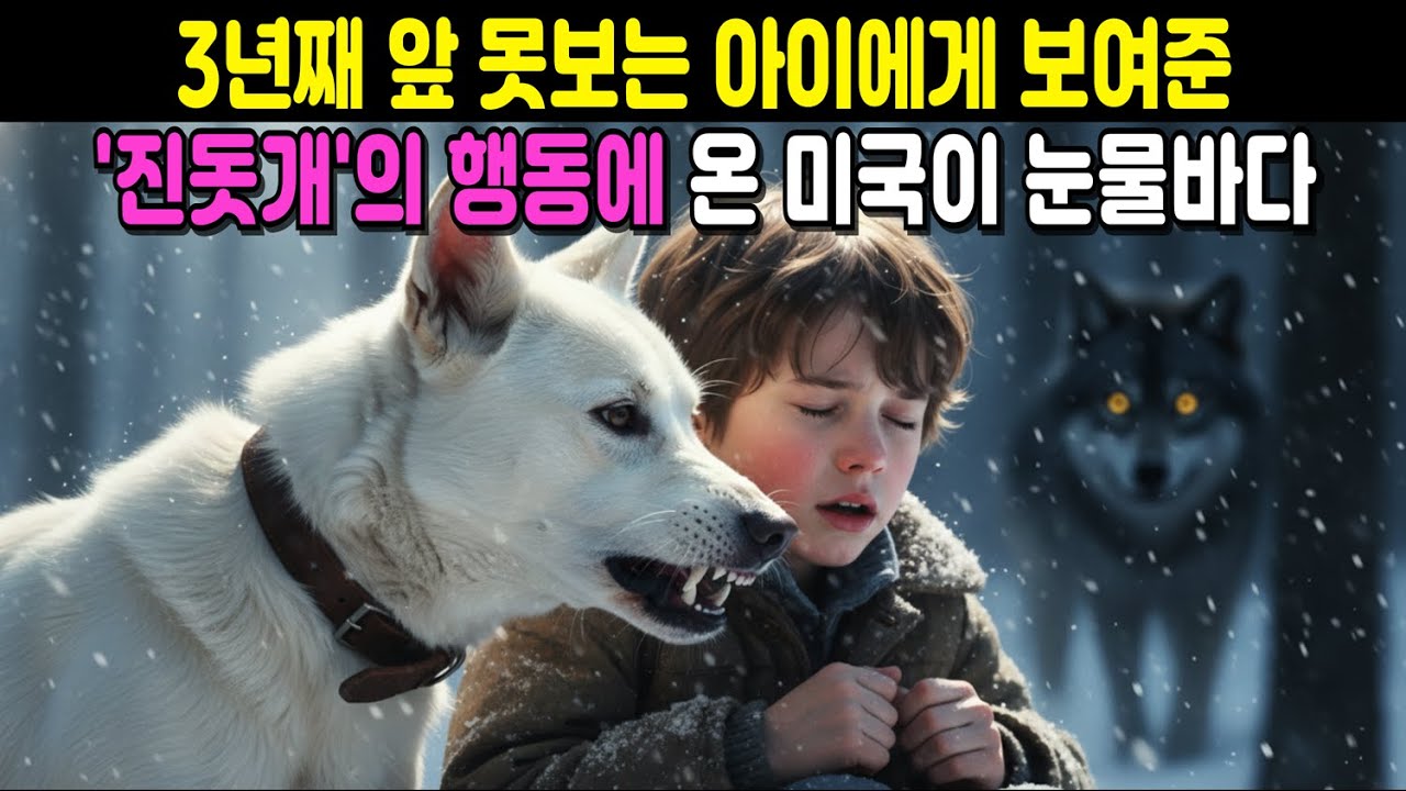 3년째 앞 못보는 아이에게 보인 '진돗개'의 행동에 온 미국이 눈물바다.
