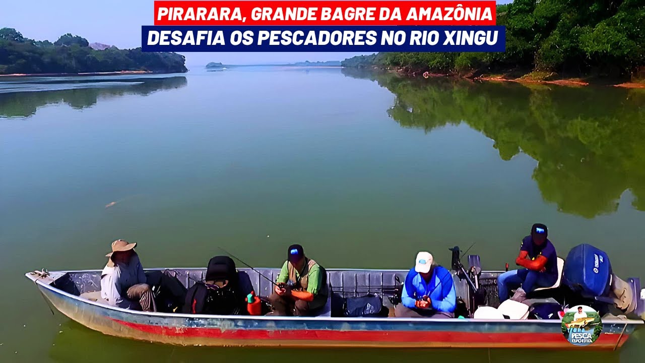 O IMPONENTE RIO XINGU NOS SUPREENDENDO PIRARARAS BRIGANDO NA PESCARIA