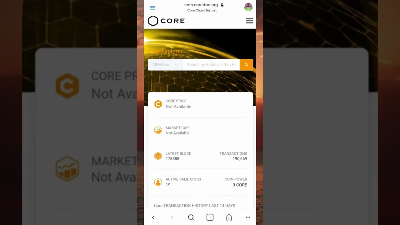 Add CORE Mainnet Wallet in Metamask | Satoshi Core