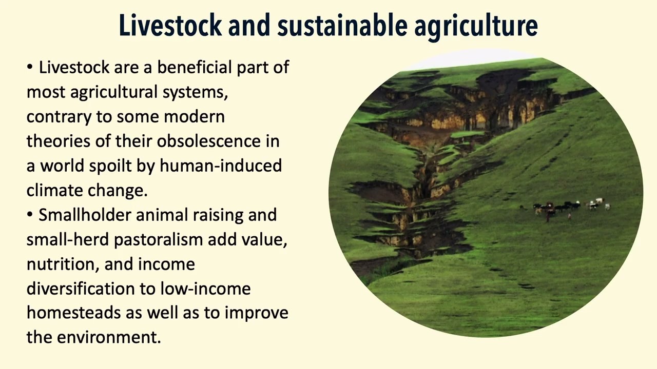 Best Practices in Promoting Livestock Among the Poor