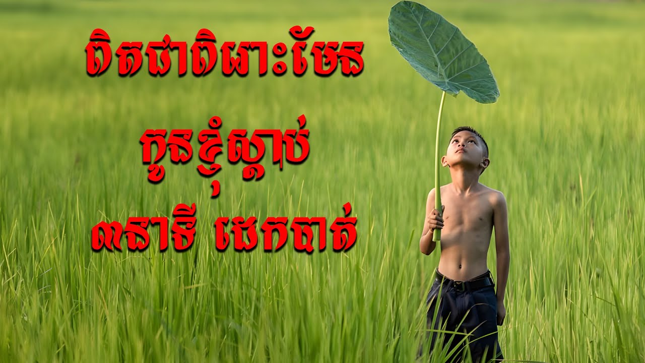 ពិរោះណាស់! បទបំពេរ កូនខ្ញុំស្តាប់៣នាទី គេងបាត់